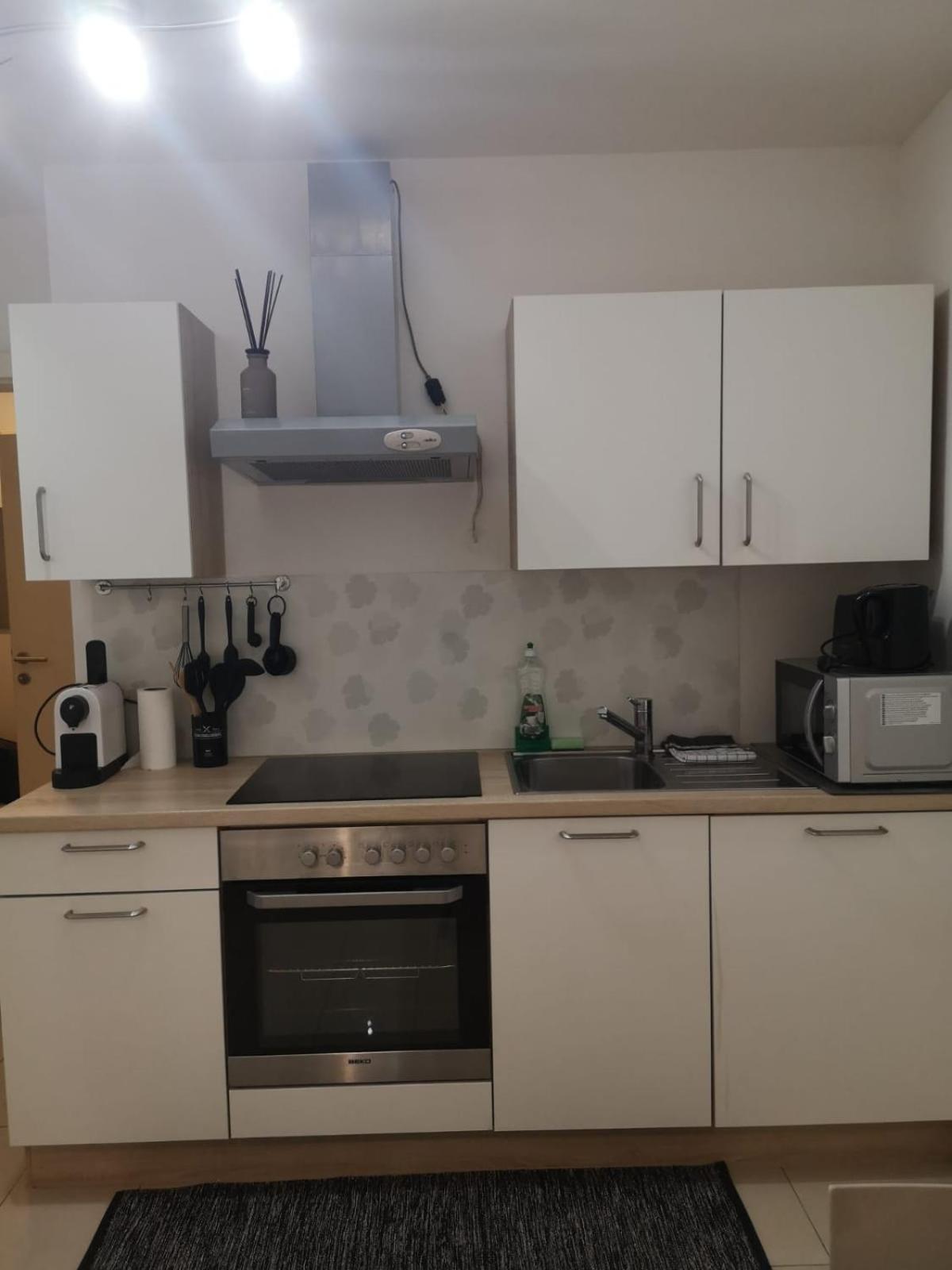 Apartmán Danube Garden 22 Vídeň